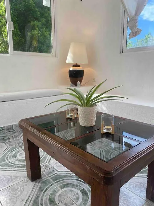 Apartment Located Two Blocks From The Sea Cozumel